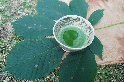 s-2013 1217.jpg
