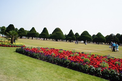 s-2013 713.jpg