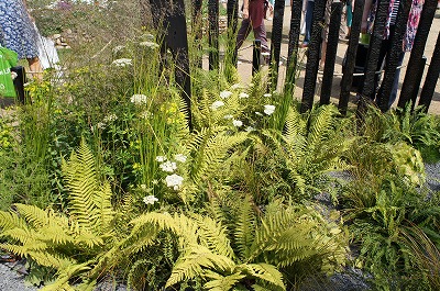 s-2013 838.jpg