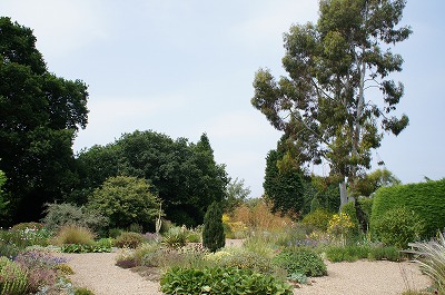s-ؽD 1289.jpg
