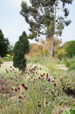s-ؽD 1294.jpg