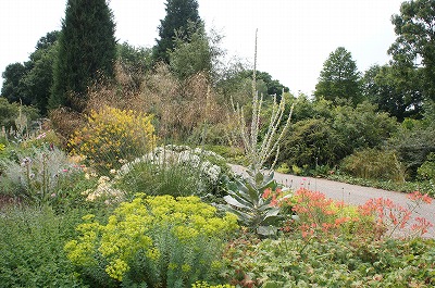 s-ؽD 1325.jpg