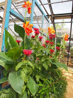 s-ؽD 2012.jpg
