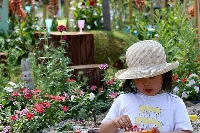 s-IMG_0004.jpg