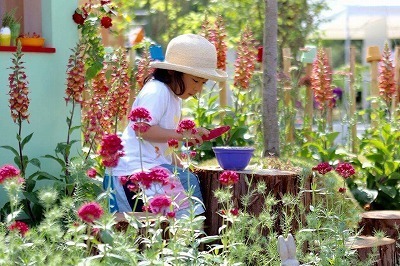 s-IMG_0007.jpg