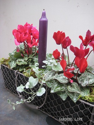 s-IMG_0542.jpg