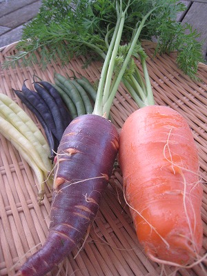 s-IMG_0568.jpg