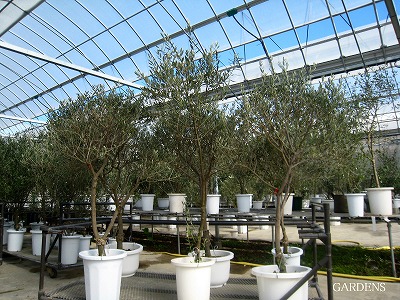 s-IMG_0705.jpg