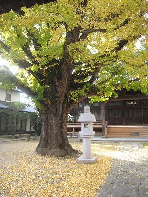 s-IMG_0786.jpg