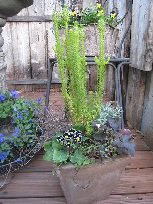 s-IMG_0882.jpg