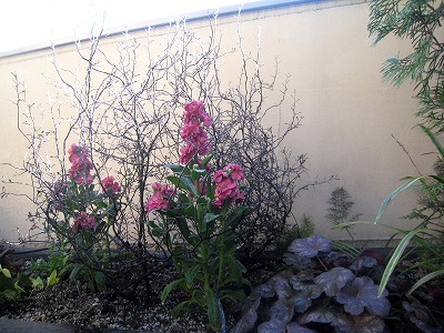 s-IMG_0951.jpg