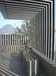 s-IMG_0982.jpg