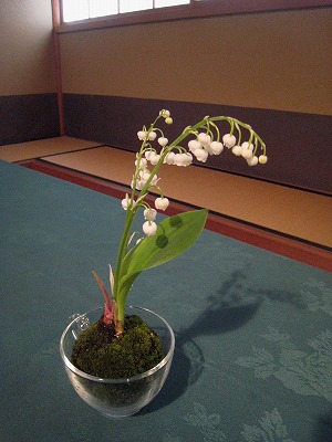 s-IMG_0994.jpg