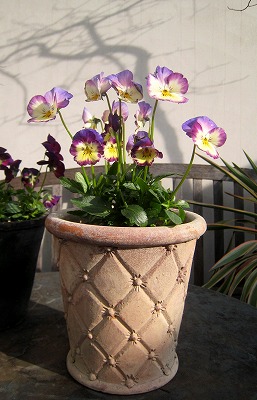 s-IMG_1127.jpg