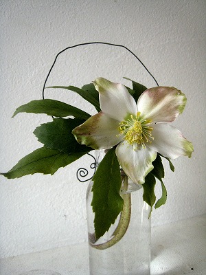 s-IMG_1231.jpg