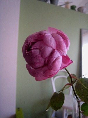s-IMG_1293.jpg