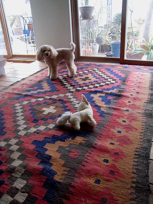 s-IMG_1373.jpg