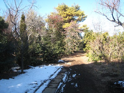 s-IMG_1578.jpg