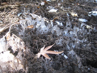 s-IMG_1583.jpg