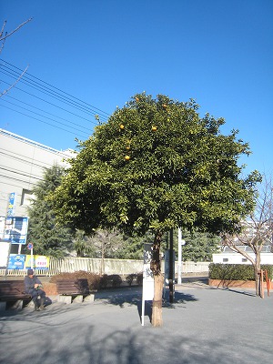 s-IMG_1654.jpg