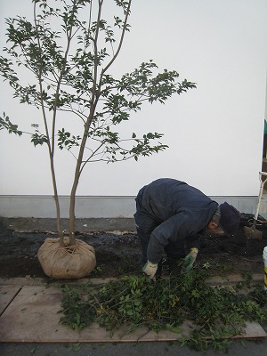 s-IMG_1664.jpg