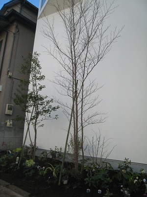 s-IMG_1680.jpg