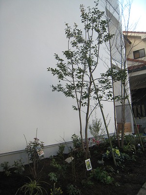 s-IMG_1681.jpg