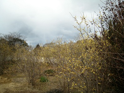 s-IMG_1715.jpg