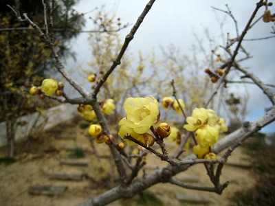 s-IMG_1719.jpg
