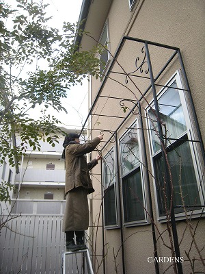 s-IMG_1802.jpg