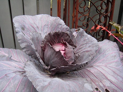 s-IMG_1875.jpg