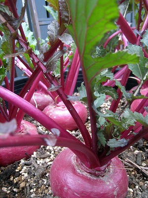 s-IMG_1880.jpg