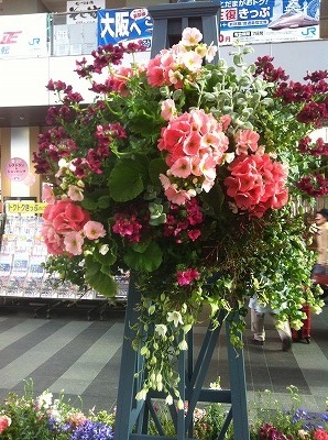 s-IMG_1890.jpg