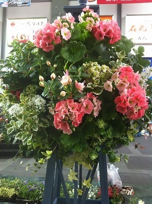 s-IMG_1914.jpg