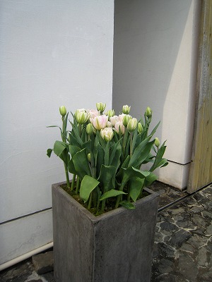 s-IMG_2023.jpg