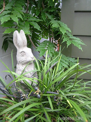 s-IMG_2871.jpg