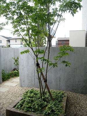 s-IMG_3111.jpg