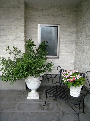 s-IMG_3114.jpg