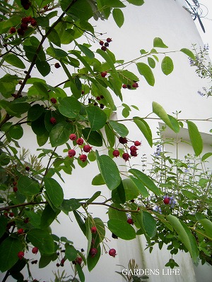 s-IMG_3247.jpg