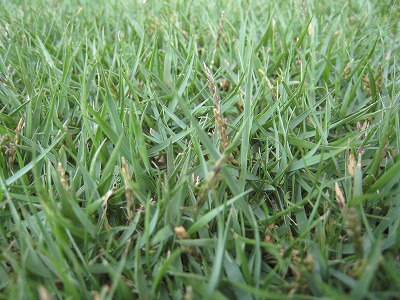 s-IMG_3281.jpg