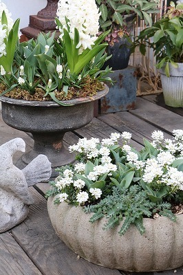 s-IMG_4300.jpg