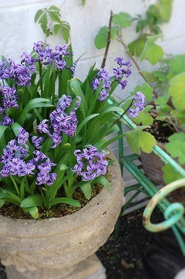 s-IMG_4409.jpg
