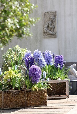 s-IMG_4869.jpg