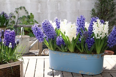 s-IMG_4916.jpg