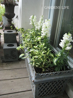 s-IMG_5045.jpg