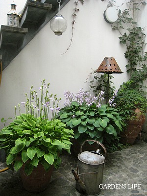 s-IMG_5120.jpg