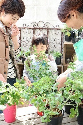 s-IMG_5356.jpg