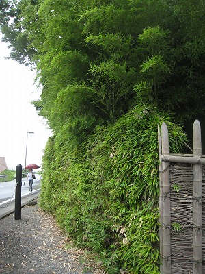 s-IMG_5363.jpg
