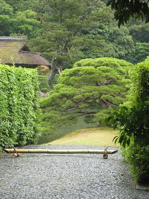 s-IMG_5369.jpg