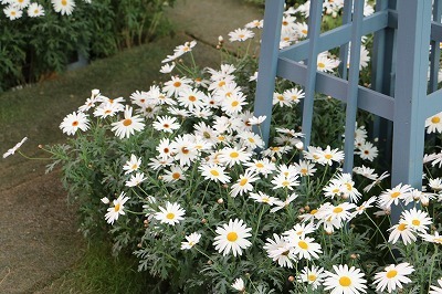 s-IMG_5615.jpg
